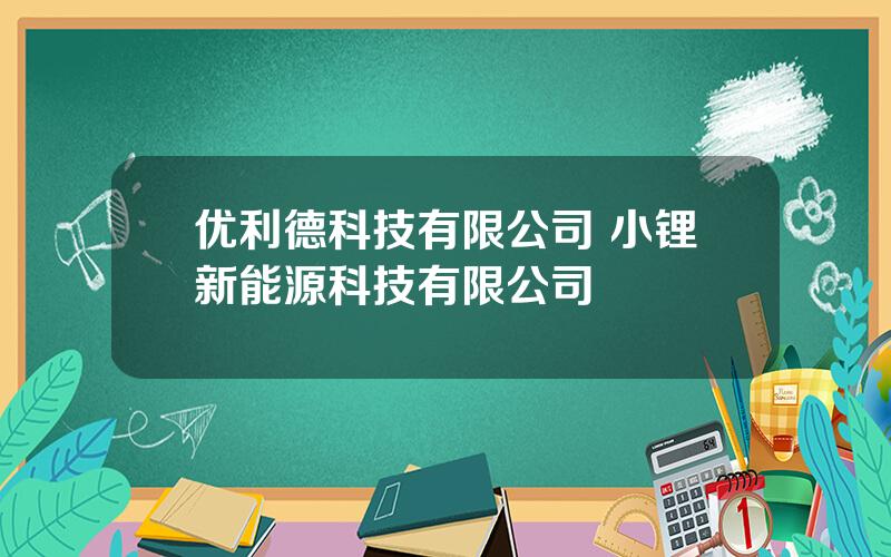 优利德科技有限公司 小锂新能源科技有限公司